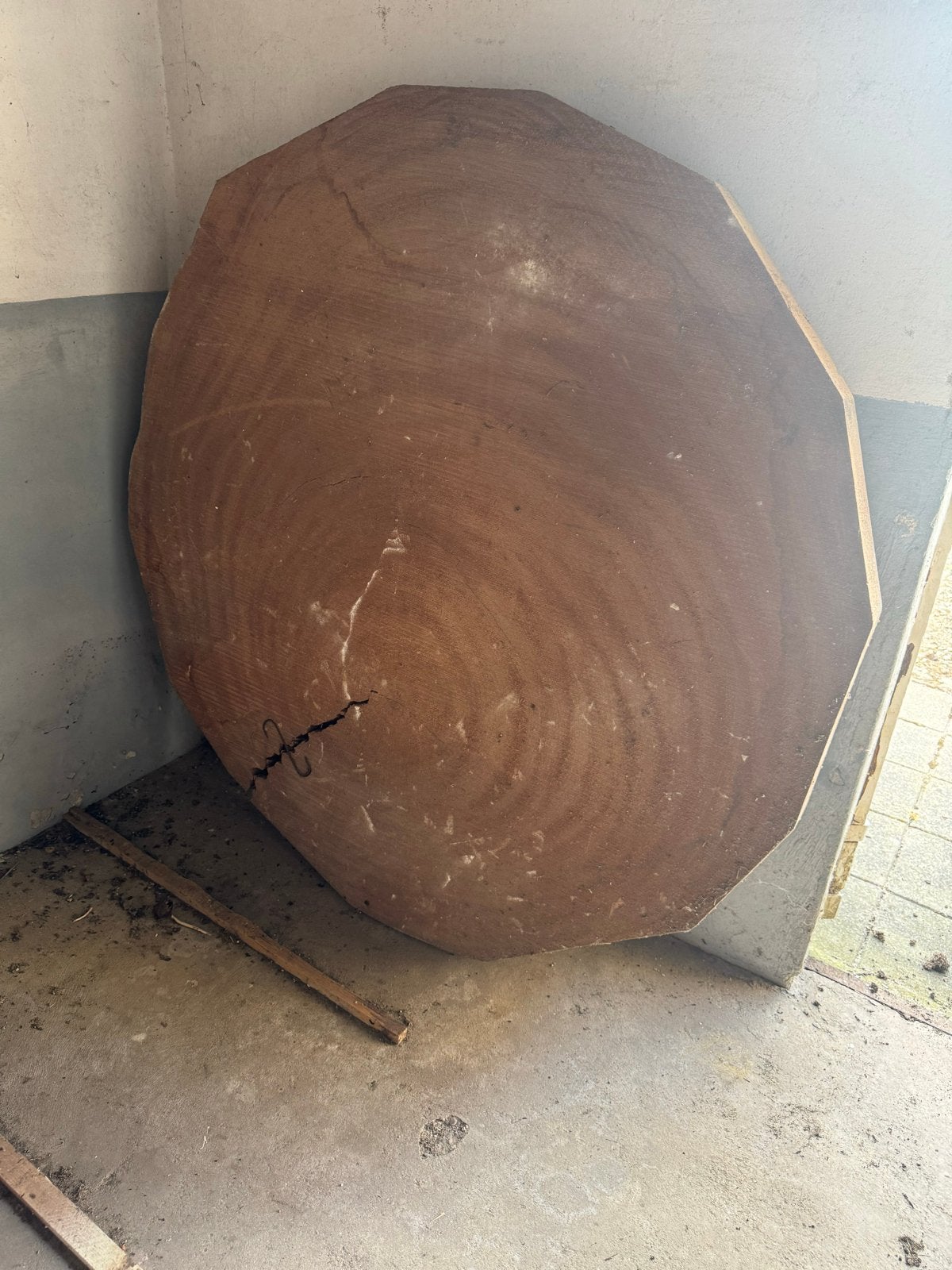 7 x grote Boomstamschijven - 75 tot 145cm, Doe-het-zelf en Verbouw, Hout en Planken, Ophalen, Gebruikt, Eiken, Overige typen