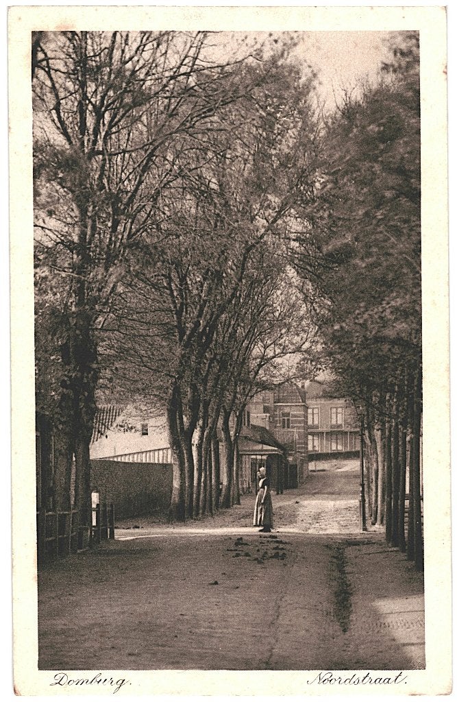 700408	Domburg	Noordstraat	ZL	Nette oude kaart onbeschreven