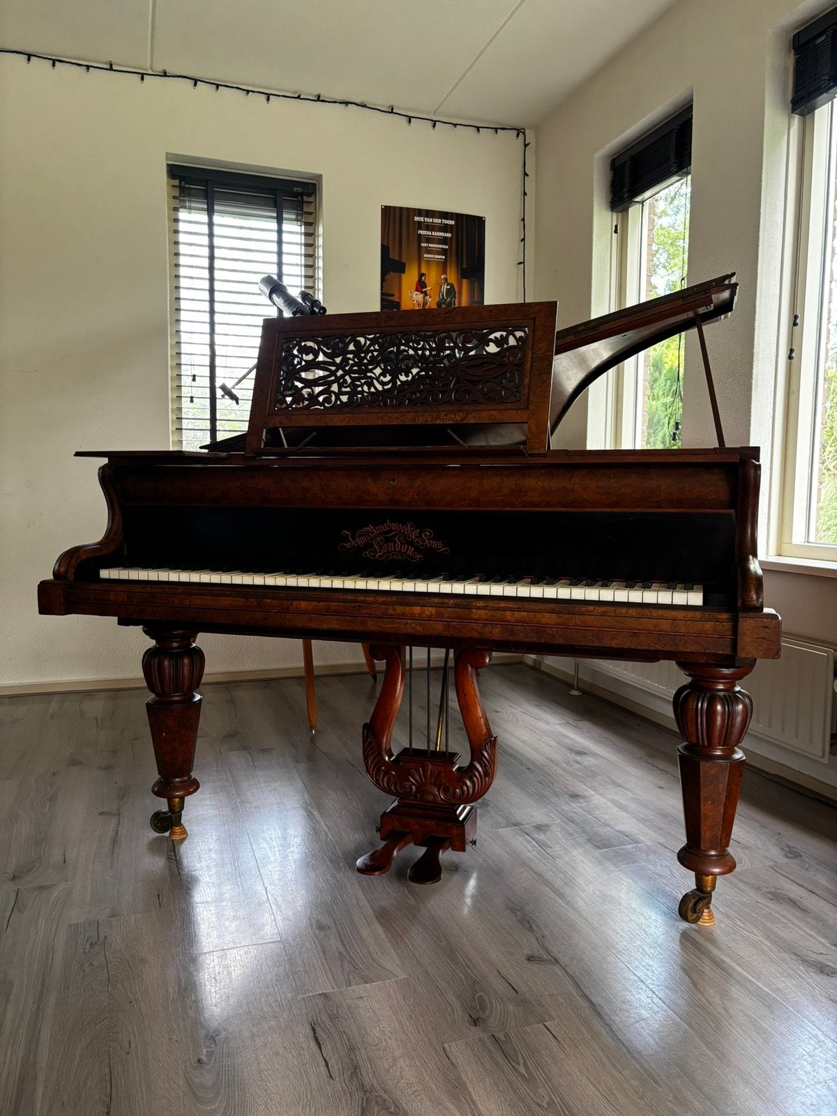Unieke Antieke Vleugel: John Broadwood and Sons (1898), Muziek en Instrumenten, Piano's, Ophalen, Gebruikt, Overige kleuren, Vleugel