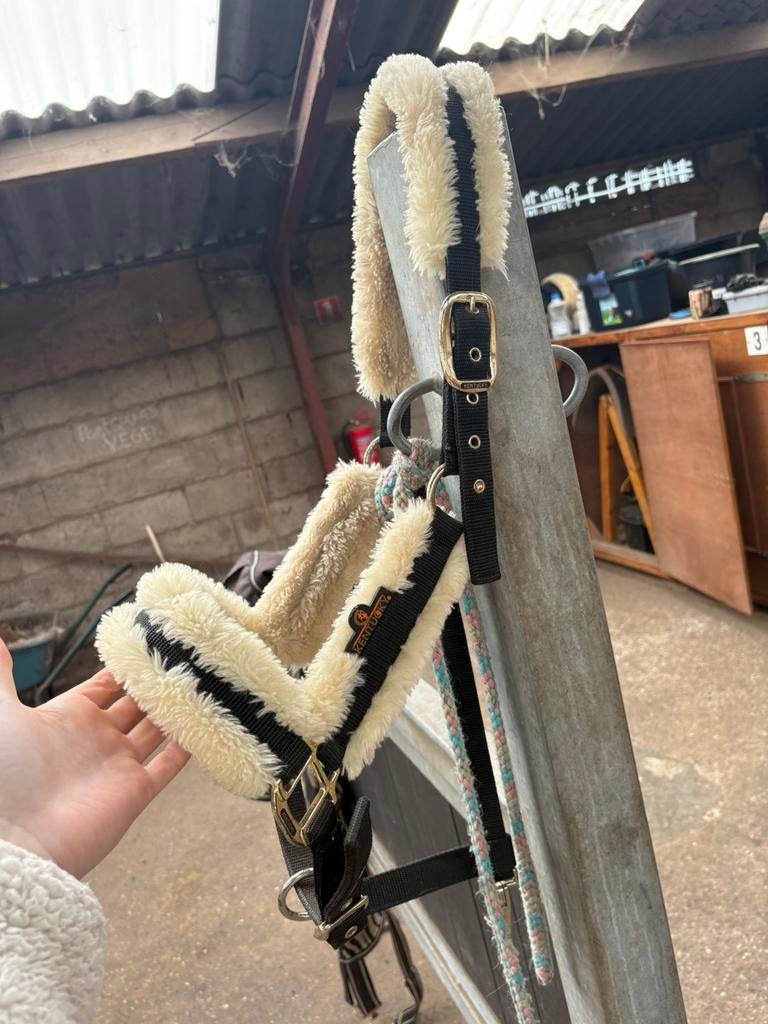 Verschillende halsters maat full, Ophalen, Zo goed als nieuw, Overige soorten