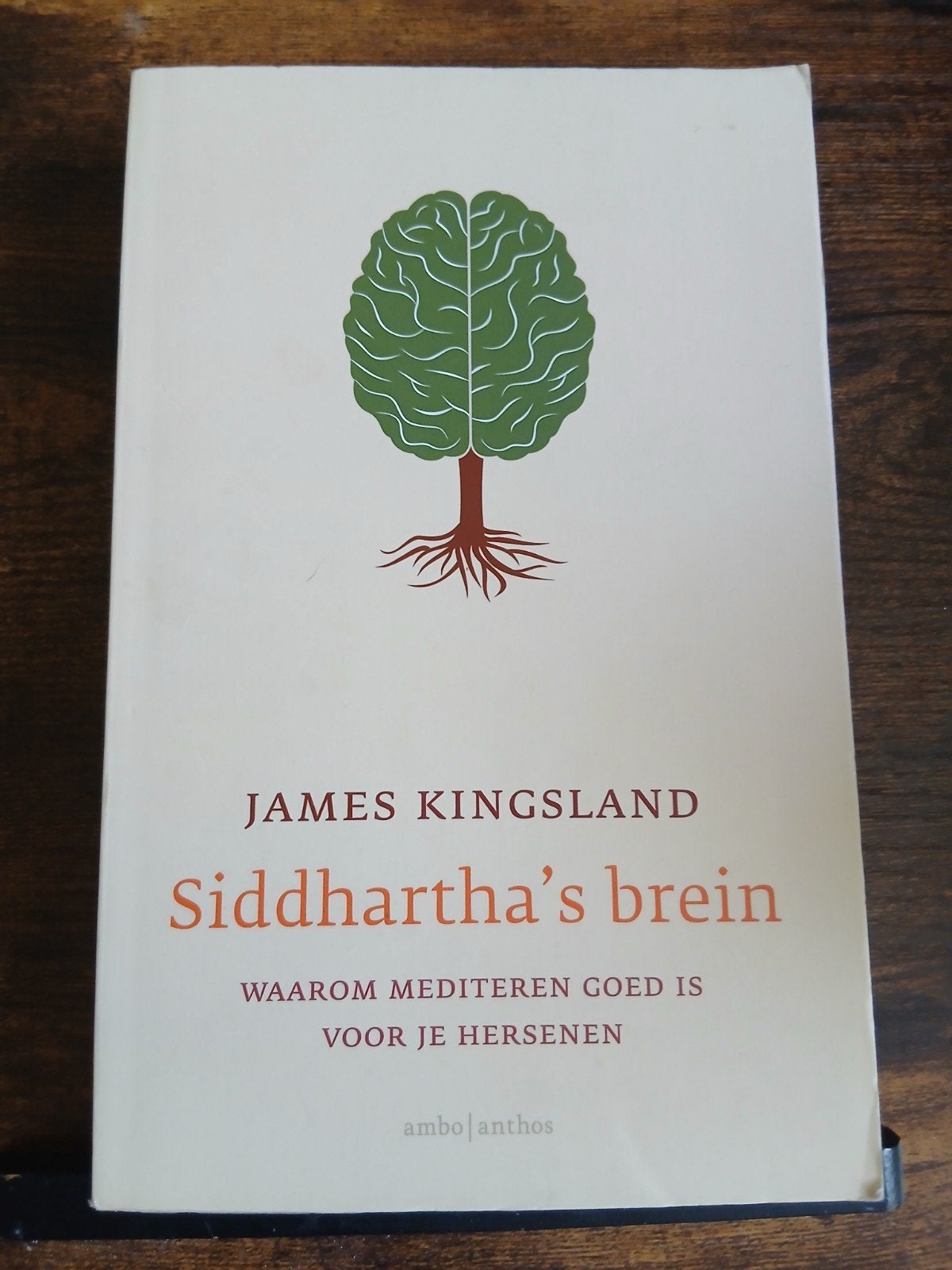 Siddhartha's Brein Waarom mediteren goed is voor je hersenen, Ophalen of Verzenden, Zo goed als nieuw, James Kingsland, Cognitieve psychologie