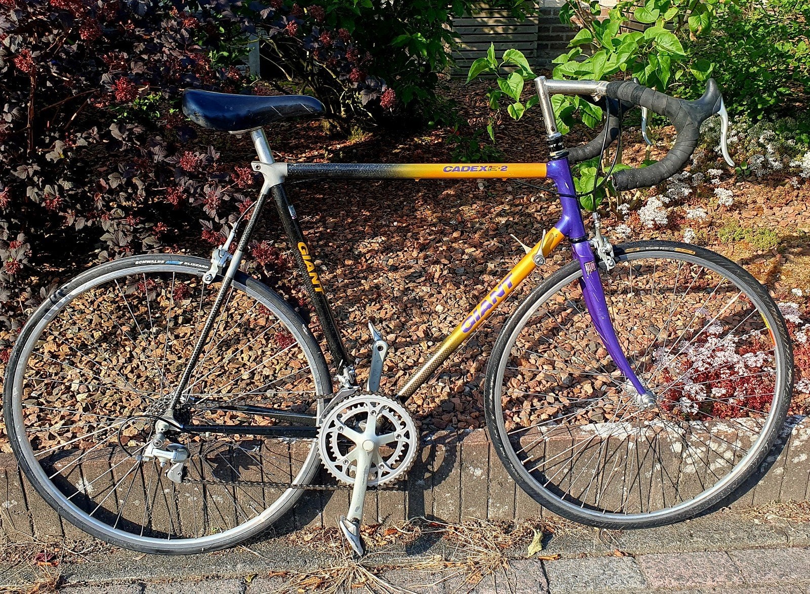Giant Cadex cfr-2 Carbon Racefiets fr60 citybike stadsfiets, Ophalen, 28 inch, Gebruikt, Carbon