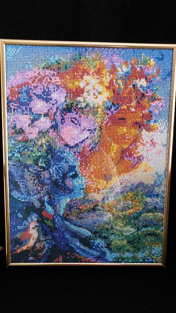 Diamond painting te koop, Minder dan 50 cm, Oorspronkelijke maker, Nieuw, Ophalen of Verzenden