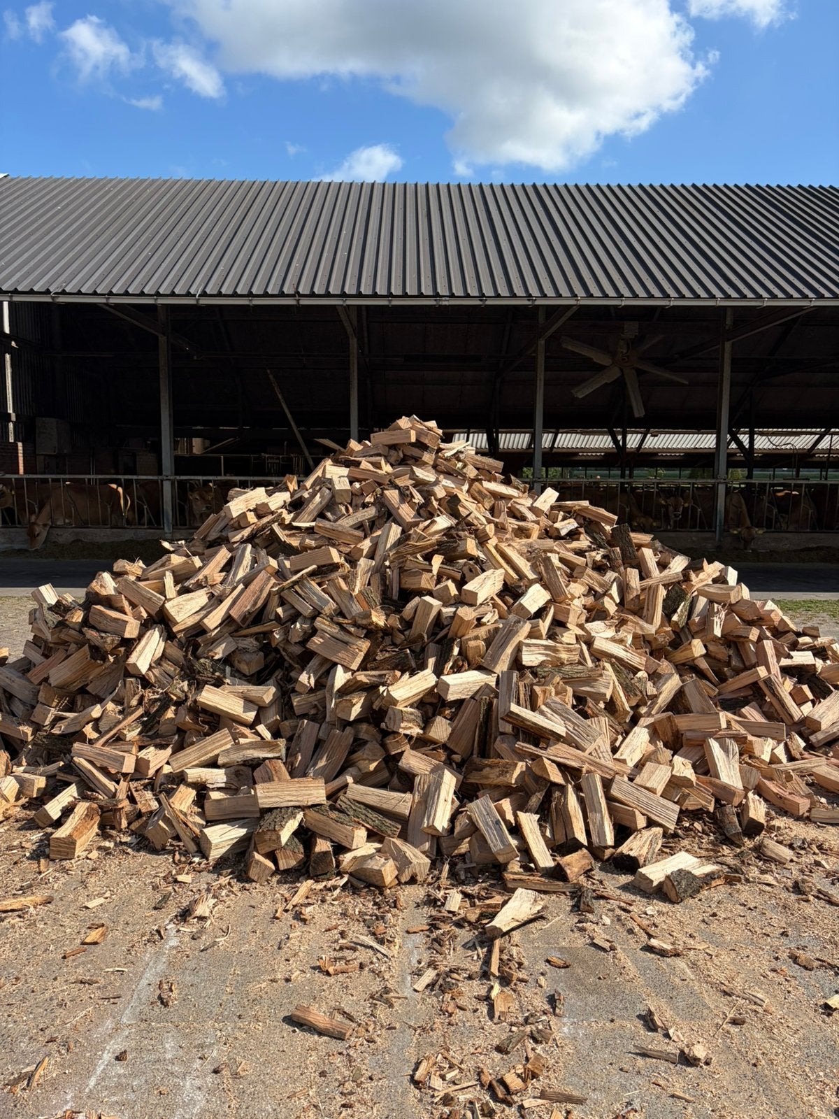 Kloofhout te koop Eik en Essen hout, 6 m³ of meer, Ophalen, Eikenhout, Blokken