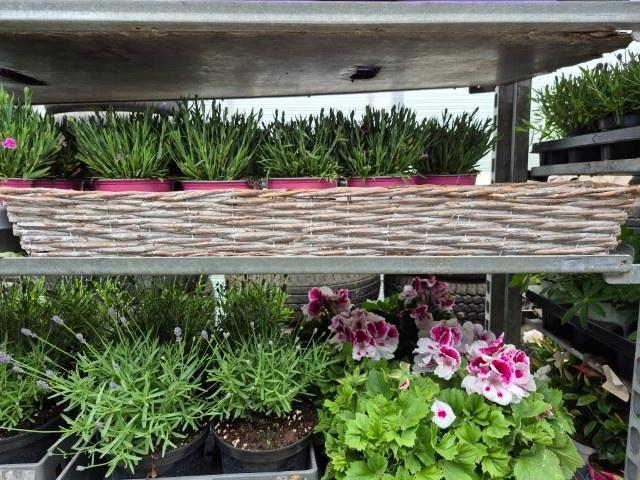 Bloemenmand riet 80 cm lang, Tuin en Terras, Bloembakken en Plantenbakken, Overige materialen, Minder dan 30 cm, Nieuw, Ophalen of Verzenden