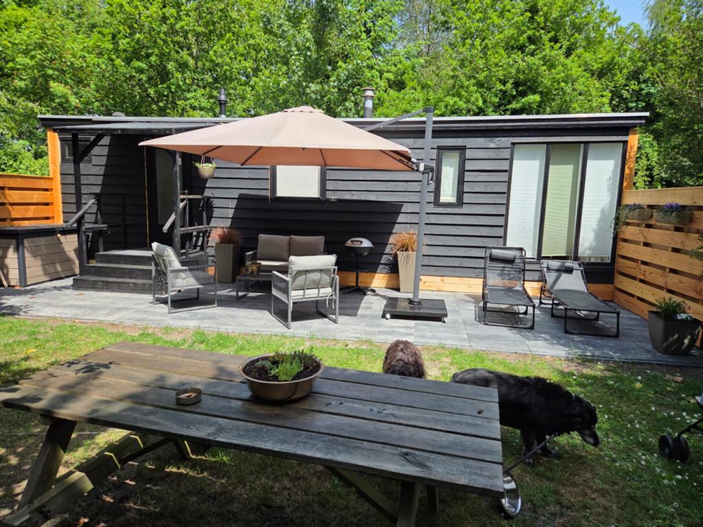 Chalet Witterzomer te huur