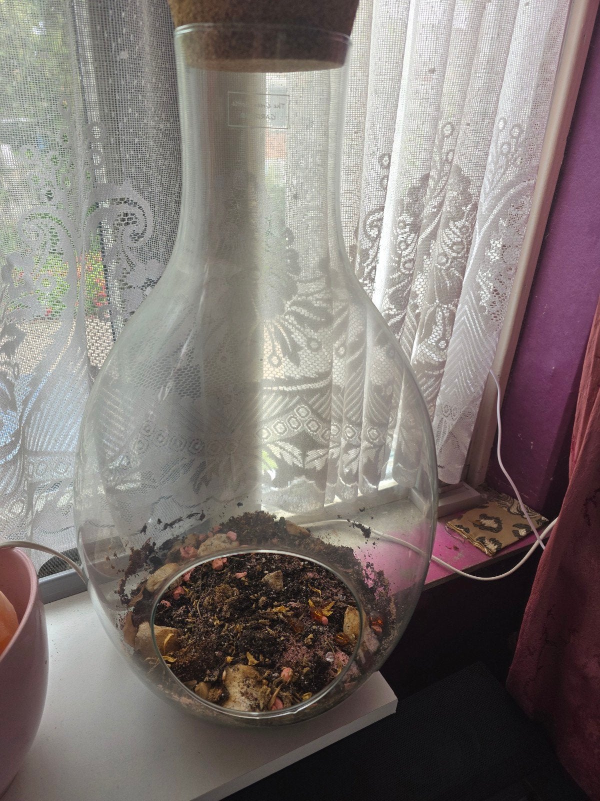 Glazen plamtenpot /fles met kurk - DIY planten, Ophalen of Verzenden, Gebruikt, Glas