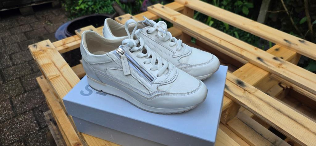 DLSport Dames Sneakers - Maat 38 - Nieuw in doos, Ophalen, DLSport, Wit, Nieuw