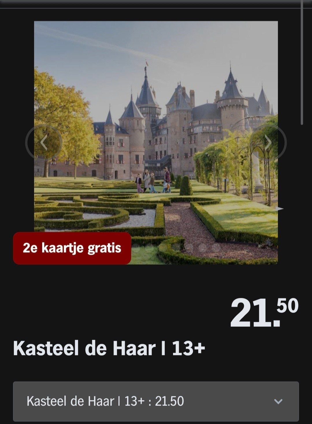 KASTEEL DE HAAR ♡ 2e kaartje gratis (AH SPAARKAARTEN), Overige typen