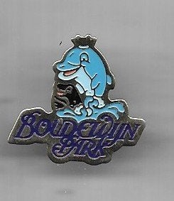 BOUDEWIJN PARK PIN, Ophalen of Verzenden, Gebruikt, Overige onderwerpen, Speldje of Pin