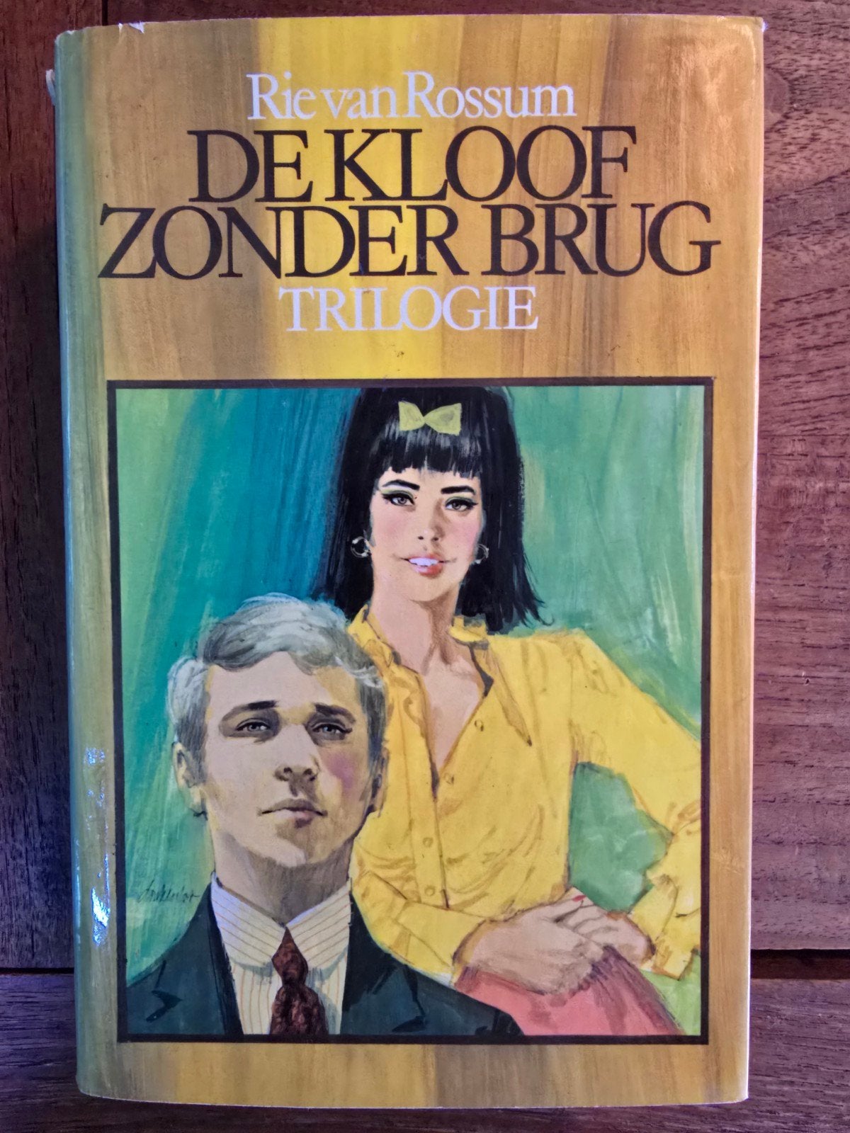 De Kloof Zonder Brug - Rie van Rossum (Trilogie), Ophalen of Verzenden, Gelezen, Rie van Rossum