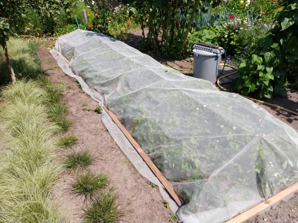 Tuingaas vogelnet insectengaas moestuinnet gaas beschermgaas, Ophalen of Verzenden, Nieuw, 20 meter of meer, Gaas