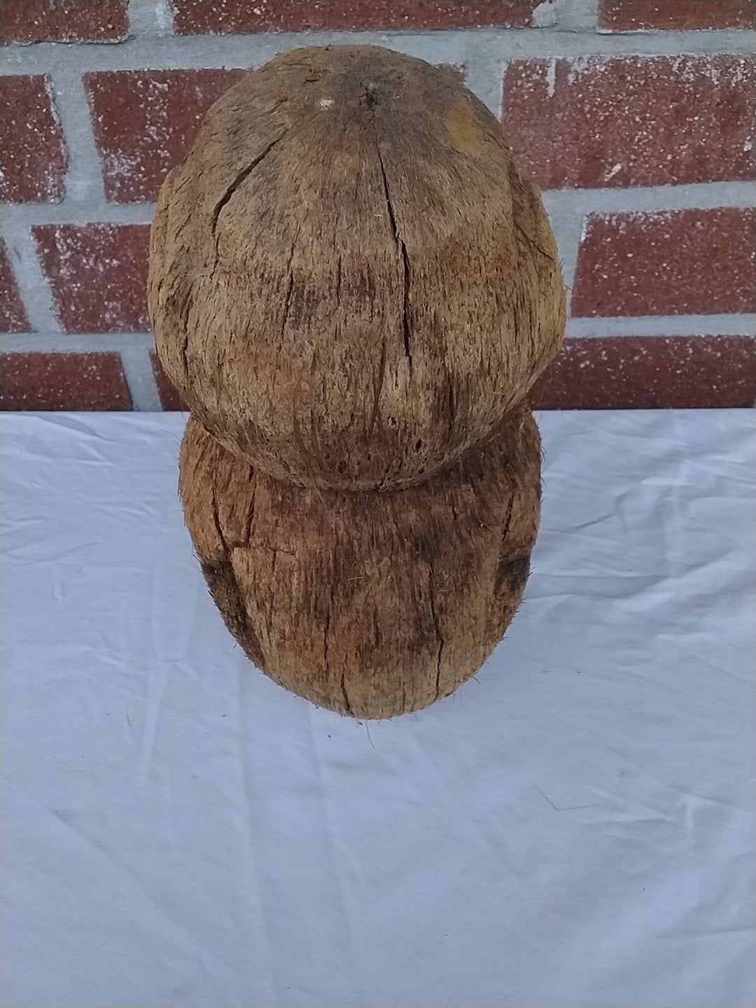 Unieke handgesneden kokosnoot aap sculptuur, Natuurlijk materiaal, Ophalen of Verzenden, 20 - 50 cm, Beeld