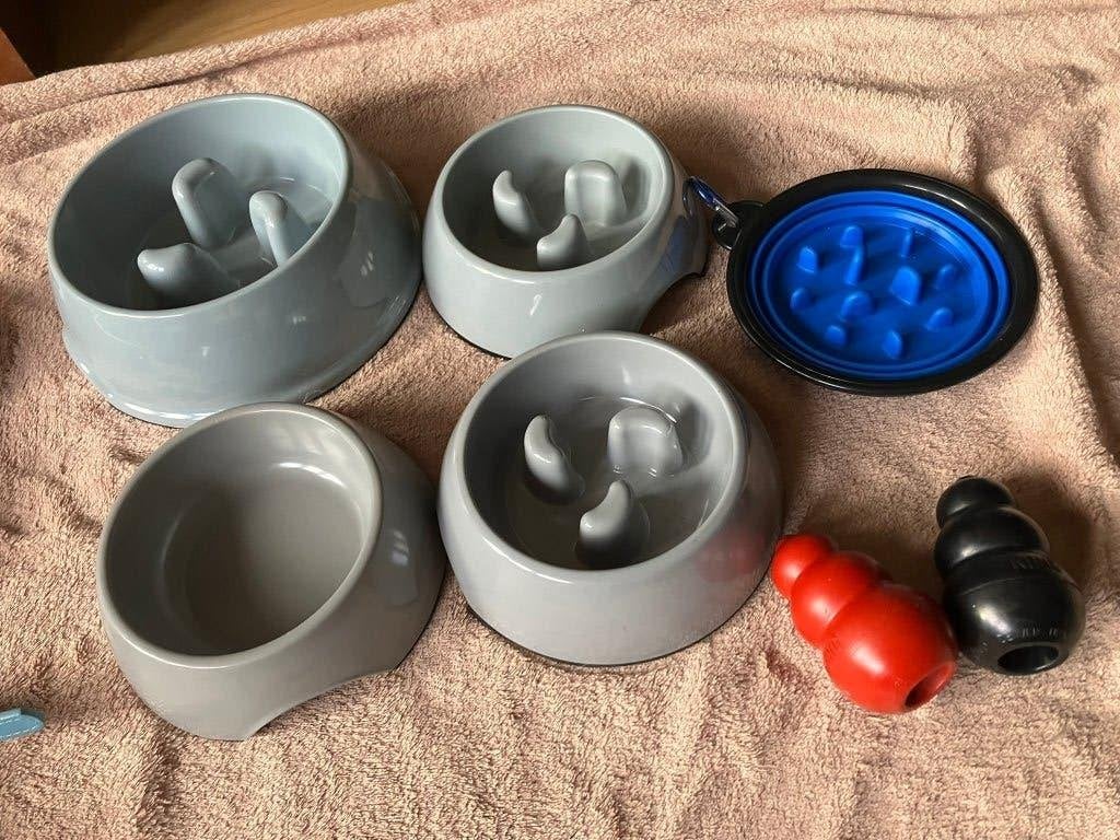 5 Kleine etensbakjes, 2 Kongs en borstel, Ophalen of Verzenden, Anti-schrok, Gebruikt