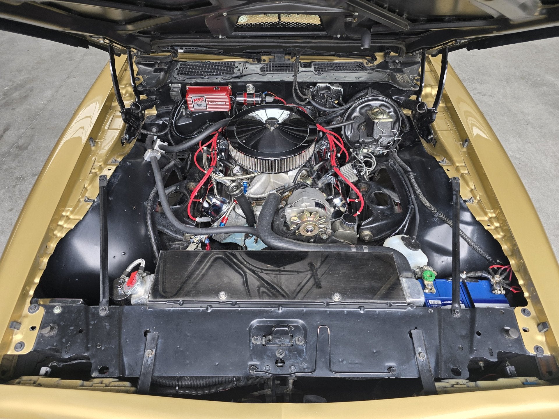 Pontiac Firebird Trans Am 6.6 FW 87 Y88 GOLD SPECIAL EDITION, foto 10