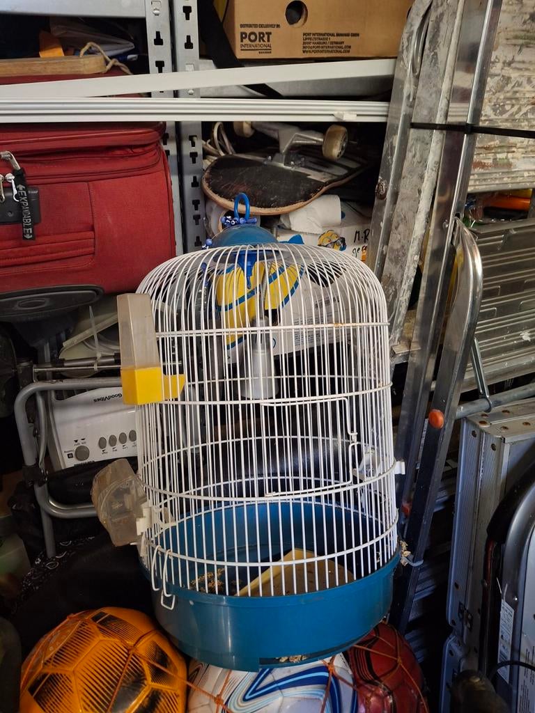 Vogelkooi, Dieren en Toebehoren, Ophalen