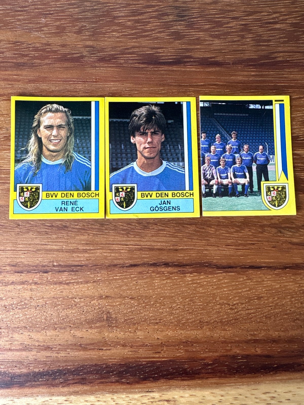 Panini Voetbal 1990 BVV Den Bosch, Ophalen of Verzenden, Zo goed als nieuw, Stickers en Plaatjes