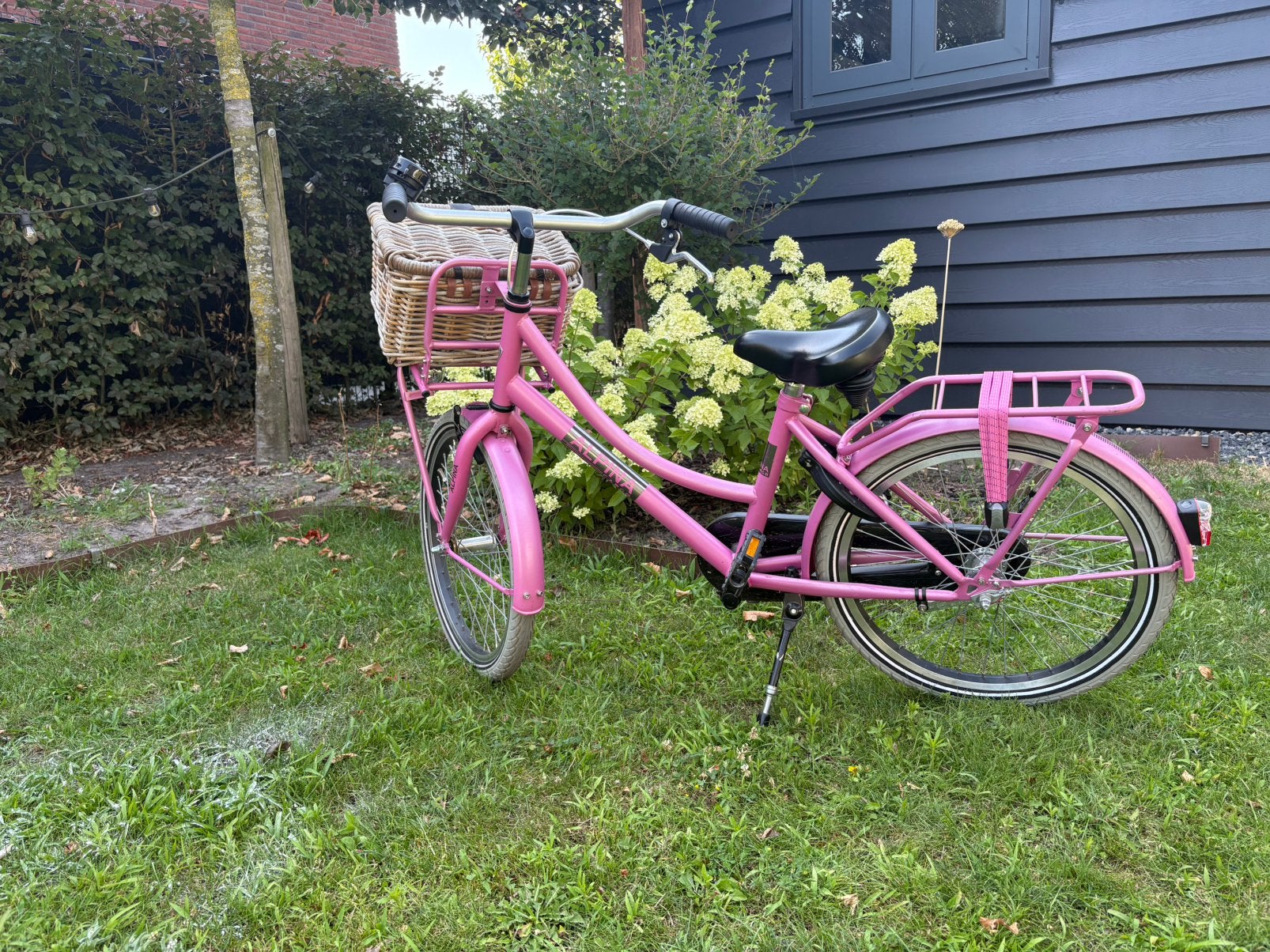 Alpina cargo 20 inch meisjesfiets, Ophalen, Zo goed als nieuw, 20 inch