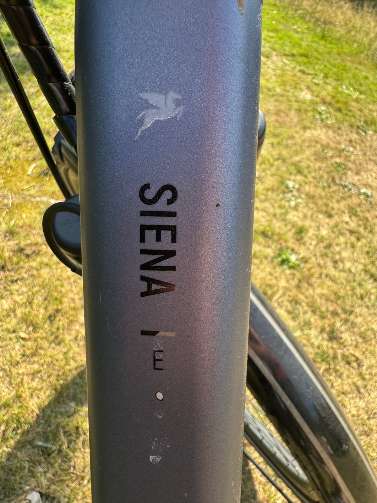 Pegasus Siena elektrische fiets, Fietsen en Brommers, Elektrische fietsen, Gebruikt, 51 tot 55 cm, 50 km per accu of meer, Ophalen