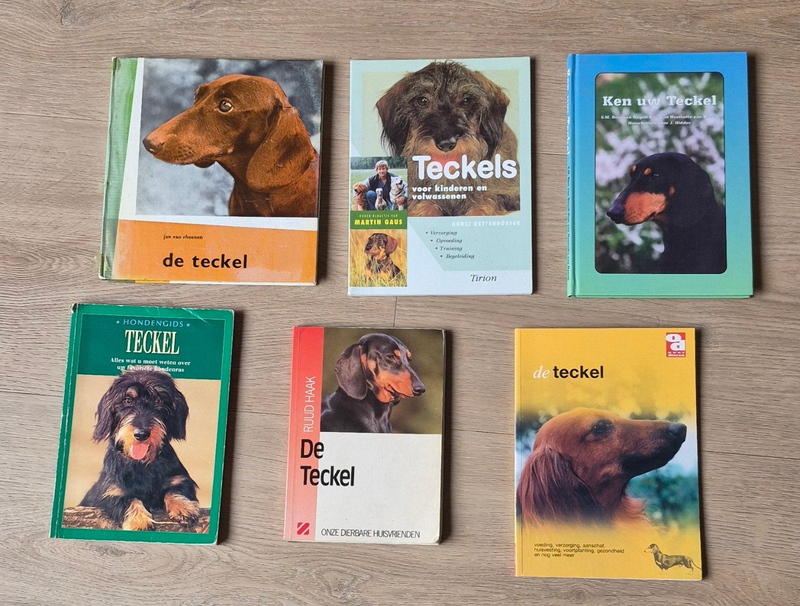 teckel, Ophalen of Verzenden, Honden