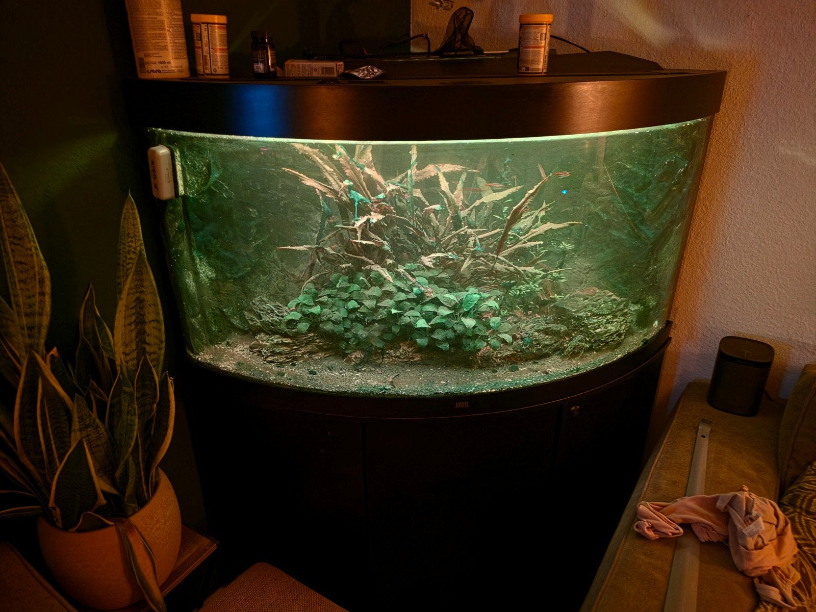 trigion 350, Dieren en Toebehoren, Vissen | Aquaria en Toebehoren, Ophalen, Gebruikt, Inclusief slangen, Aquariummeubel