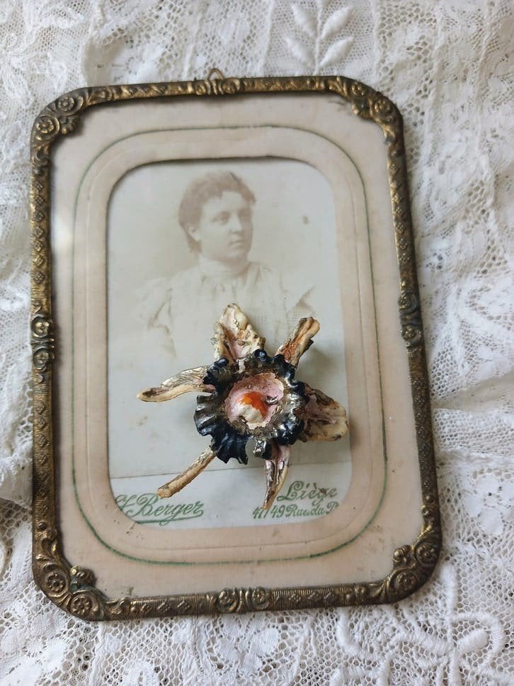 Antieke broche...orchidee..., Verzenden, Overige materialen, Broche