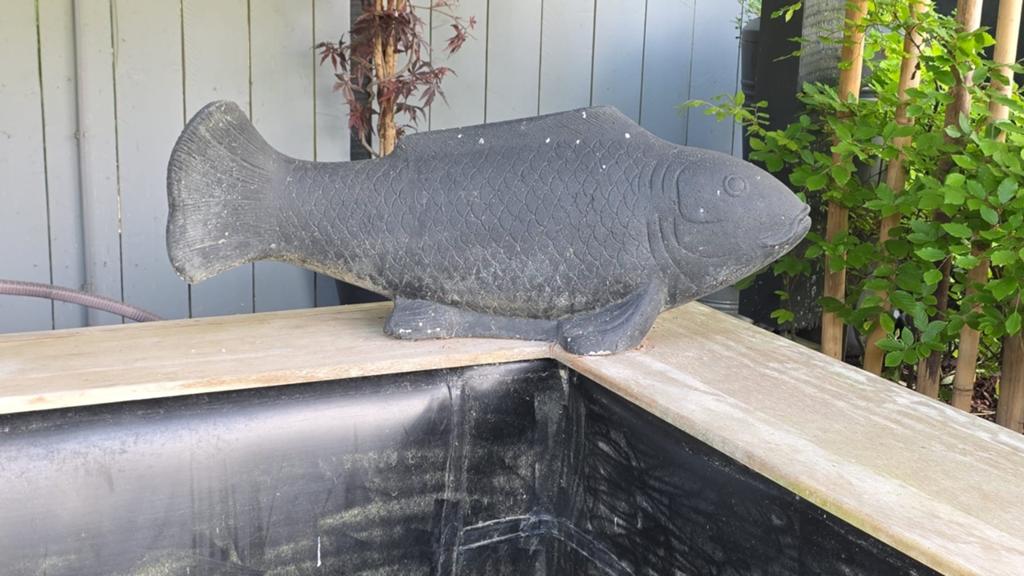 Koi karper beeld van donker grijs beton, Ophalen, Gebruikt, Beton, Dierenbeeld