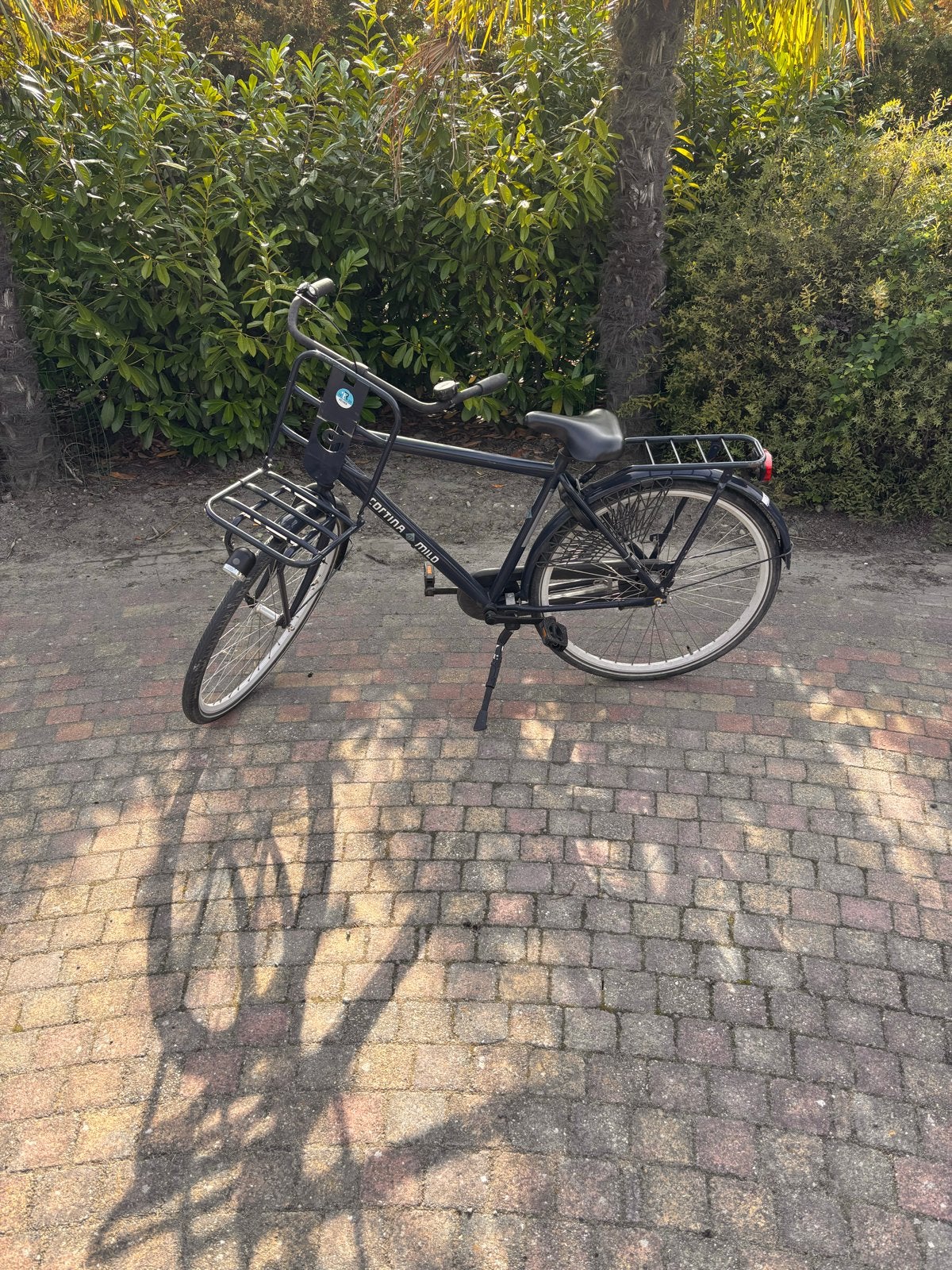 Cortina fiets met voordrager - Ideaal voor stadsritten, Fietsen en Brommers, Terugtraprem, Ophalen, Overige merken, 53 tot 56 cm