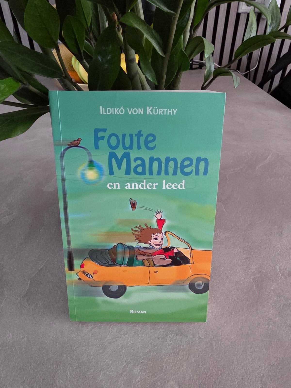 Foute Mannen en Ander Leed - Ildikó von Kürthy, Ophalen of Verzenden, Zo goed als nieuw, Ildijó von Kürthy