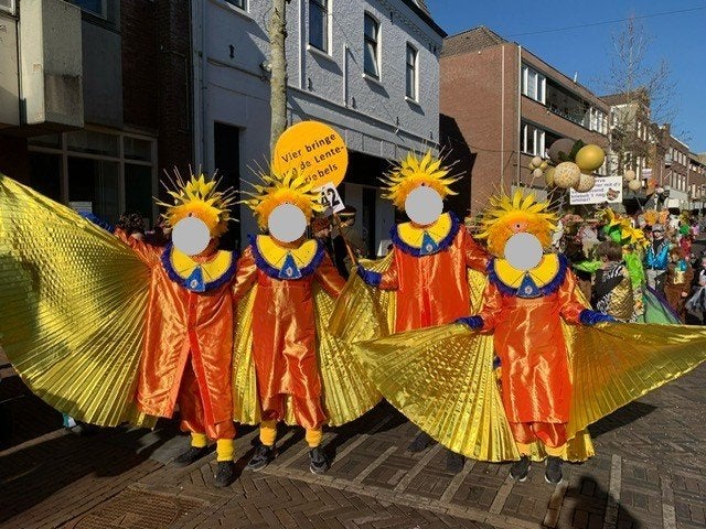 Vier prachtige carnavalspakken (zonnen) met hoed/attributen, Kleding | Dames, Ophalen, Carnaval, Maat 42/44 (L), Kleding