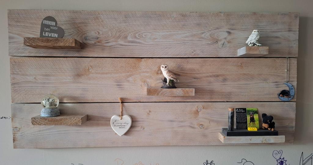 Mooi wandbord van stijgerhout met plankjes, Huis en Inrichting, Woonaccessoires | Wandplanken en Boekenplanken, Ophalen, Zo goed als nieuw