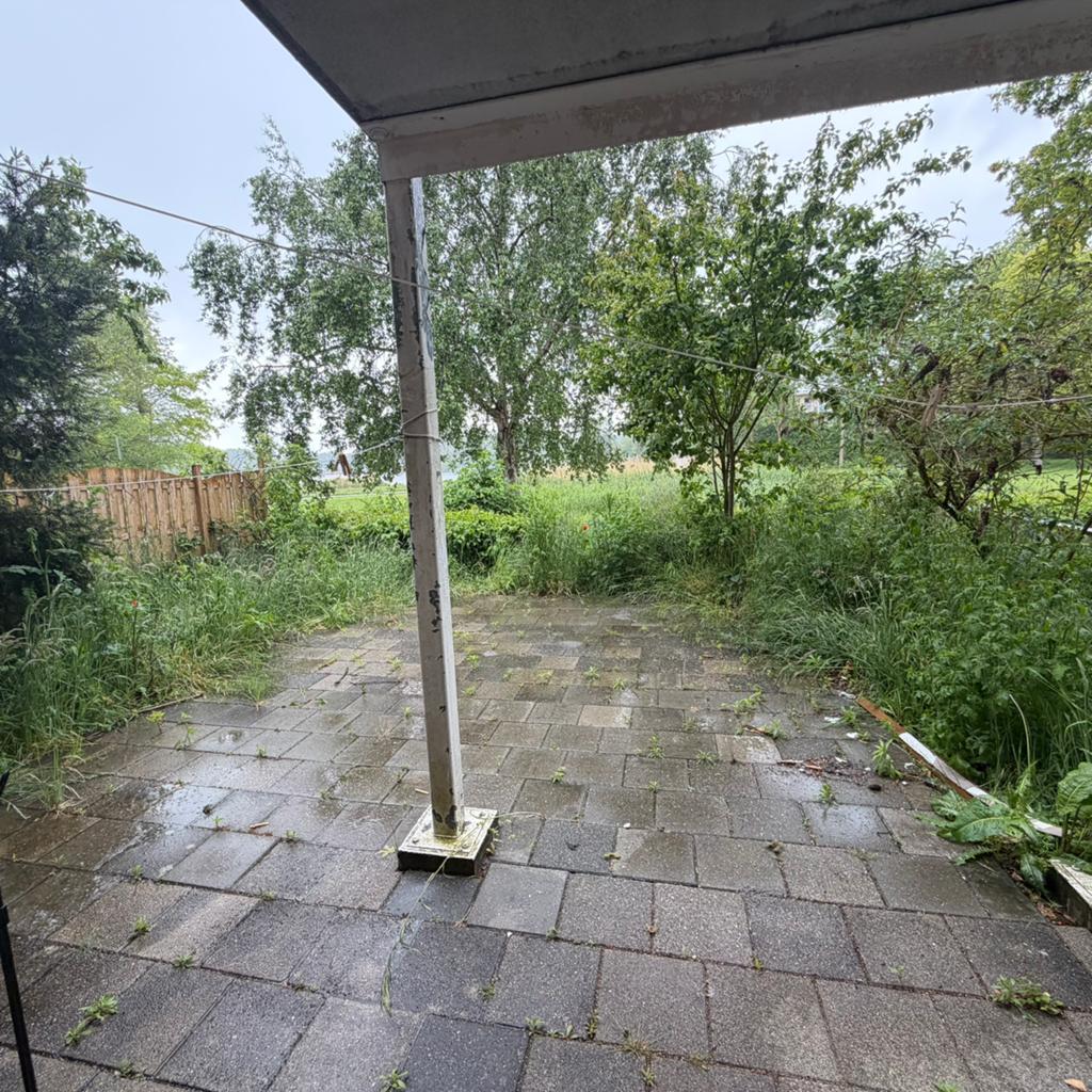 Onkruid verwijderen ALMERE, Ophalen of Verzenden