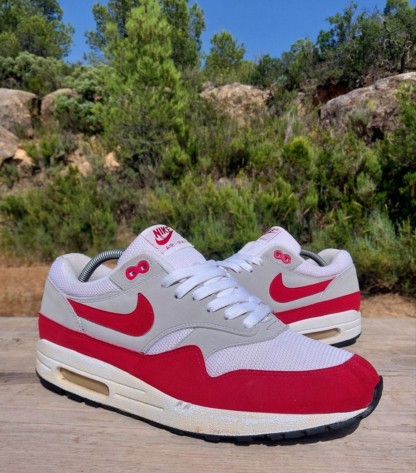 NIKE AIR MAX 1 OG RED MESH PRE-HOA 2005 EU45 id atmos patta, Ophalen of Verzenden, Overige kleuren