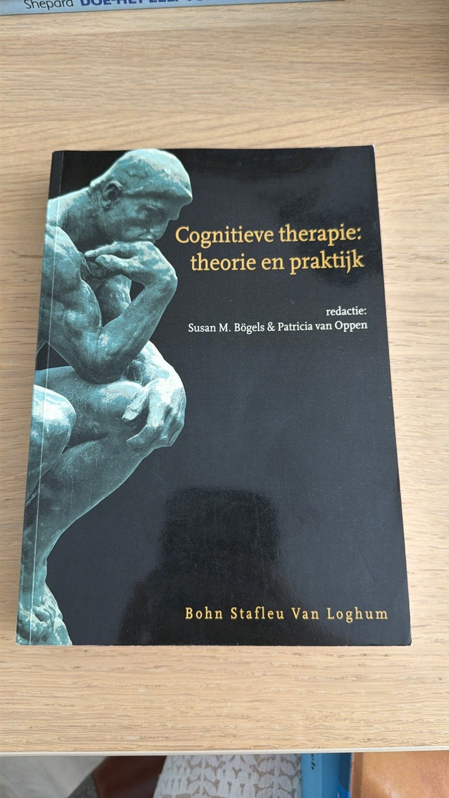 Cognitieve therapie: theorie en praktijk - Psychologie boek, Ophalen of Verzenden, Gamma, Zo goed als nieuw, WO