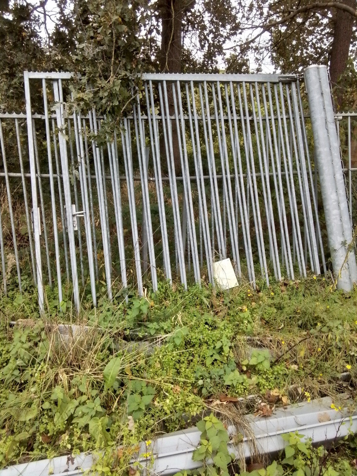 Gebruikte poort - 290x240 cm, Ophalen of Verzenden, Gebruikt, Met poort