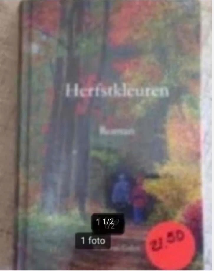 Herfstkleuren door Wim van Galen., Ophalen of Verzenden, Zo goed als nieuw