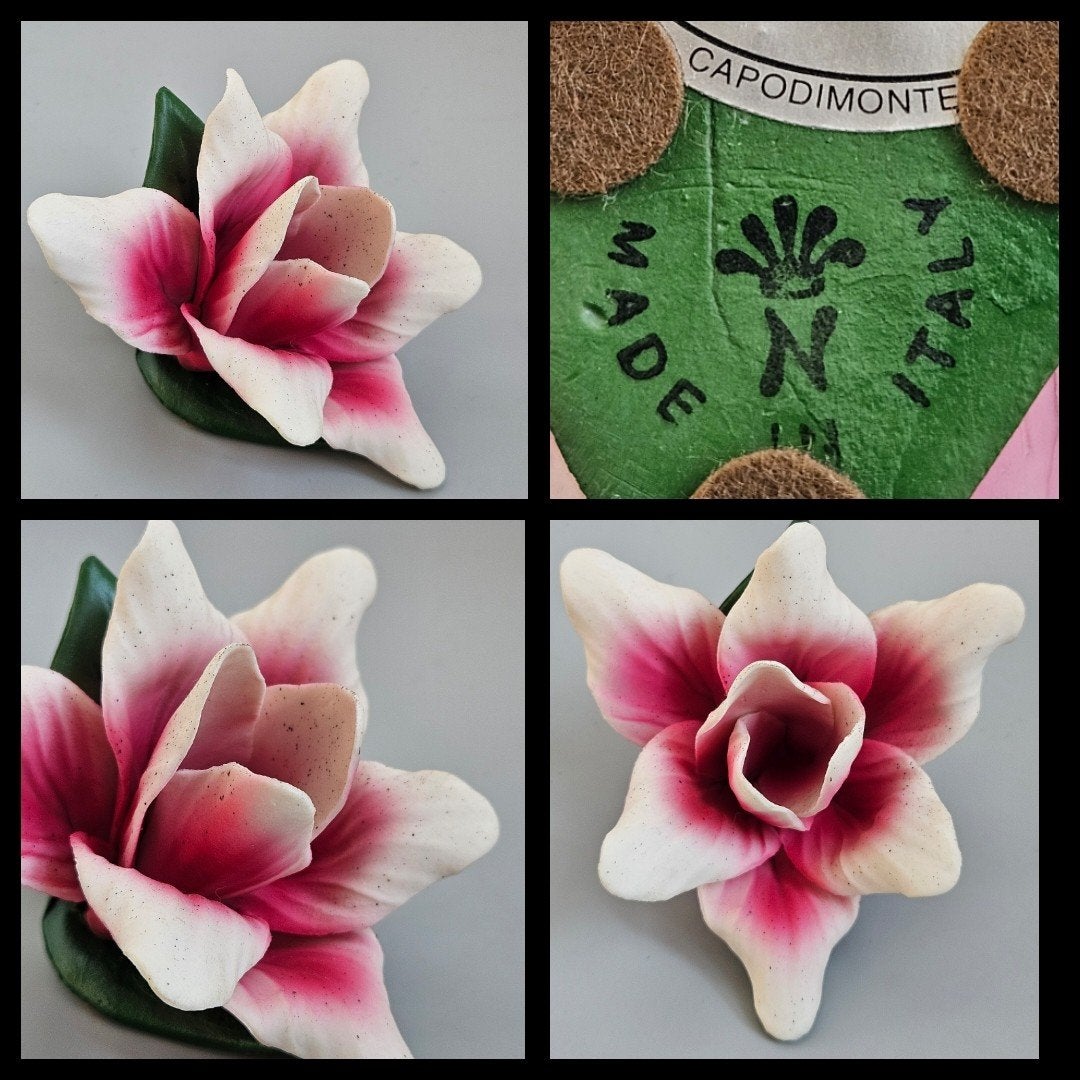 Italië,  Capodimonte porselein handgemaakte bloem, Ophalen of Verzenden