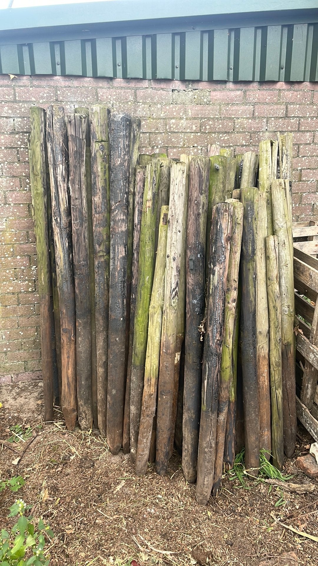 Afrasteringspalen, Tuin en Terras, Palen, Balken en Planken, Ophalen, Gebruikt, Minder dan 180 cm, Palen
