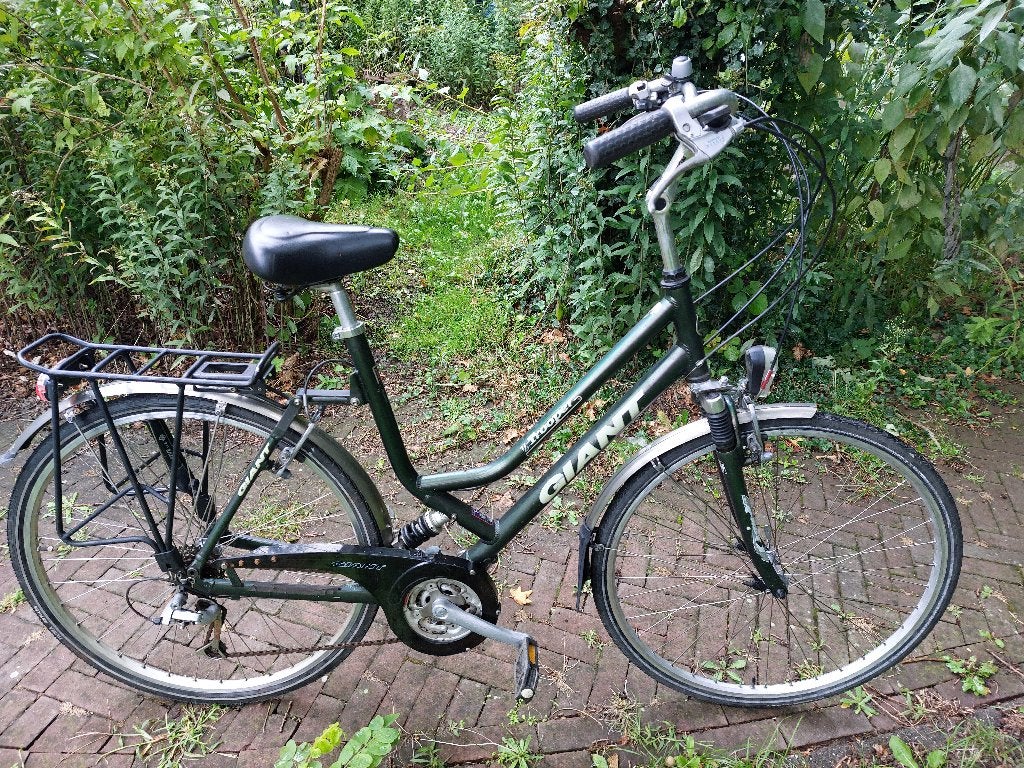 Mooie donkergroene Giant Trooper(met 1 gebrekje), Ophalen, Gebruikt, Giant
