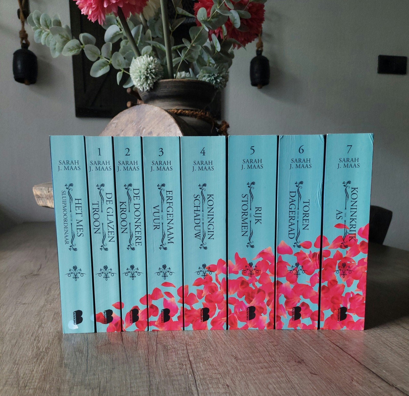 De Glazen Troon Serie NL Sarah J. Maas, Ophalen of Verzenden, Zo goed als nieuw, Sarah J. Maas