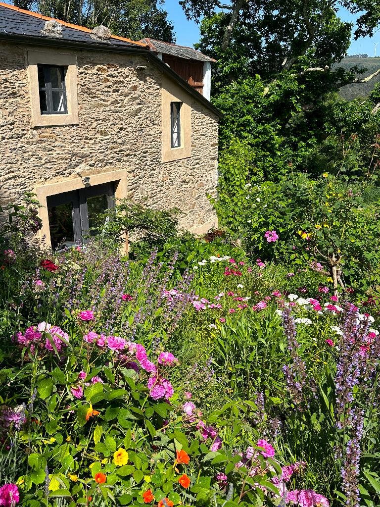 Renovated Farmhouse with land for sale in Galicia,  NW Spain, Huizen en Kamers, Buitenland, Spanje, Woonhuis, 2 kamers, 348 m²