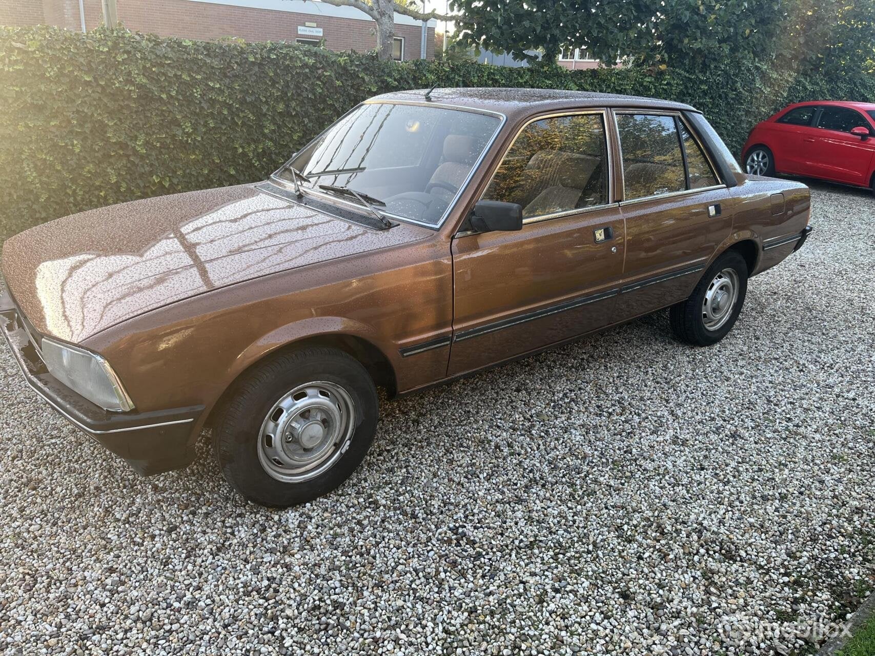 Peugeot 505 2.3 SRD turbo, Achterwielaandrijving, Bruin, Bedrijf, Sedan