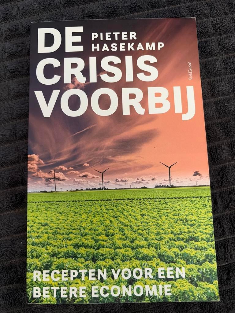 Pieter Hasekamp - De crisis voorbij, Ophalen of Verzenden, Zo goed als nieuw, Pieter Hasekamp, Nederland