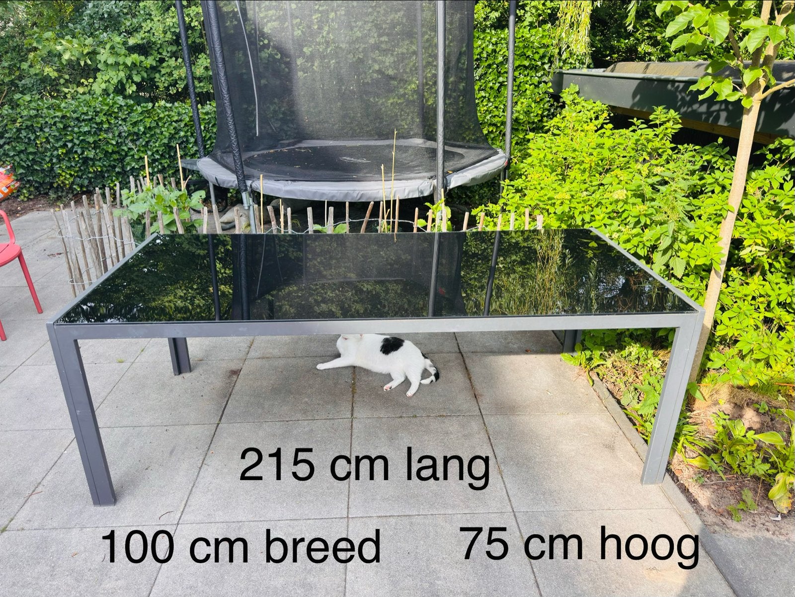 Royal Patio tuintafel 215x100 cm met glazen blad, Tuin en Terras, Tuintafels, Ophalen, Gebruikt, Rechthoekig, Metaal