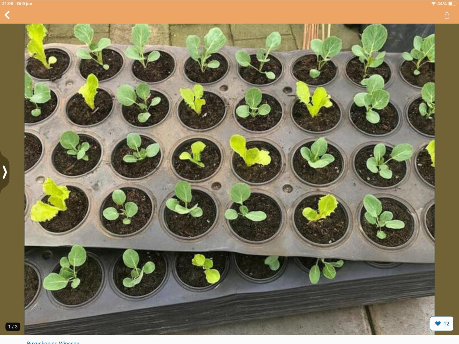 Kweek- of moestuinplaten - nu slechts €2,00, Ophalen, Kunststof, Gebruikt, Minder dan 30 cm