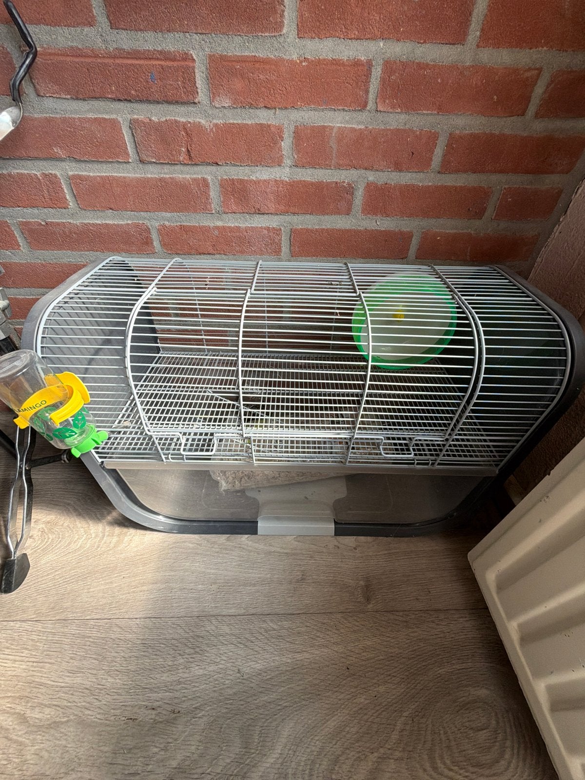 Knaagdieren kooi, Ophalen
