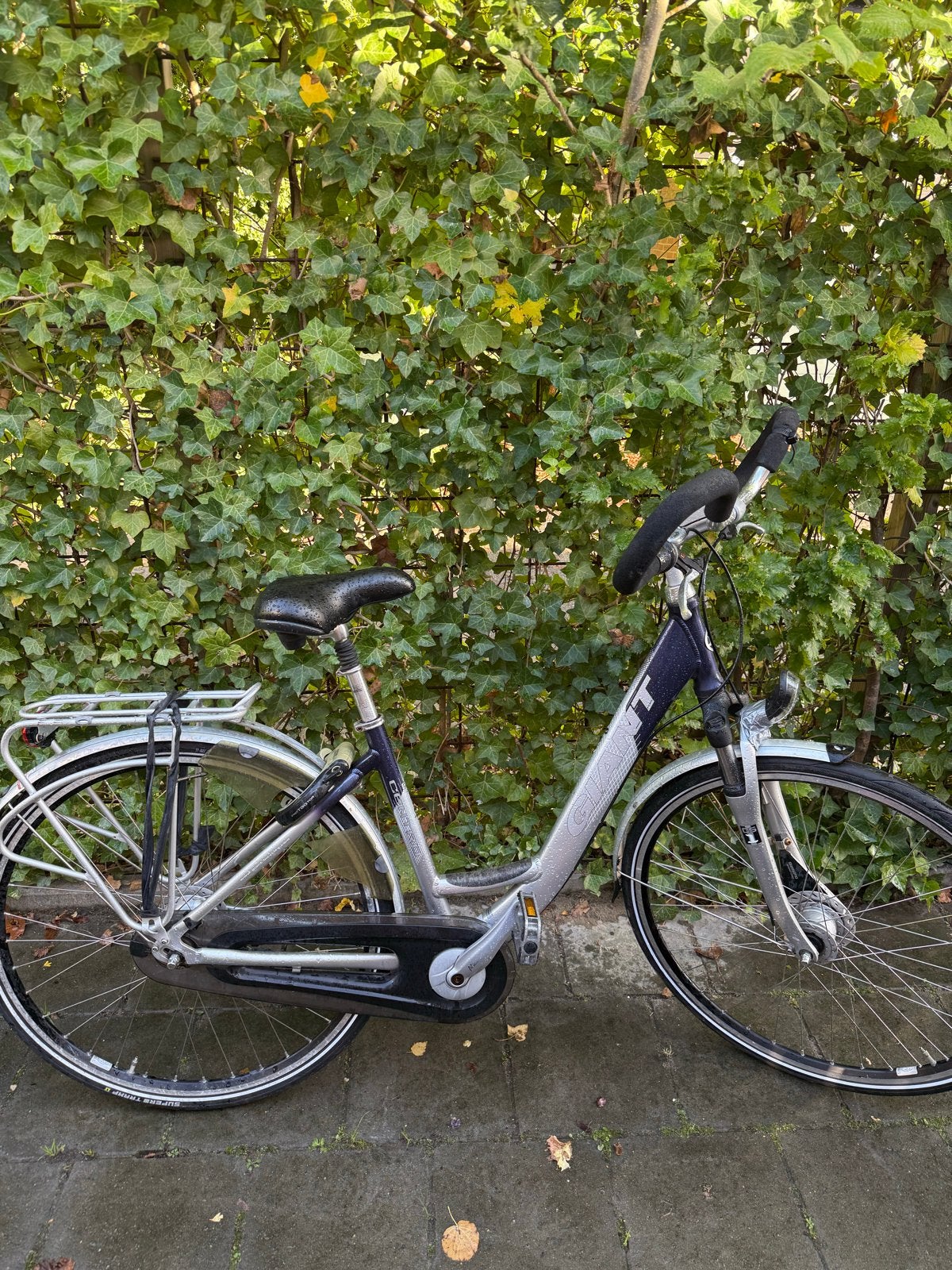 Damesfiets Giant - Comfortabel en betrouwbaar, Gebruikt, Versnellingen, 50 tot 53 cm, Giant