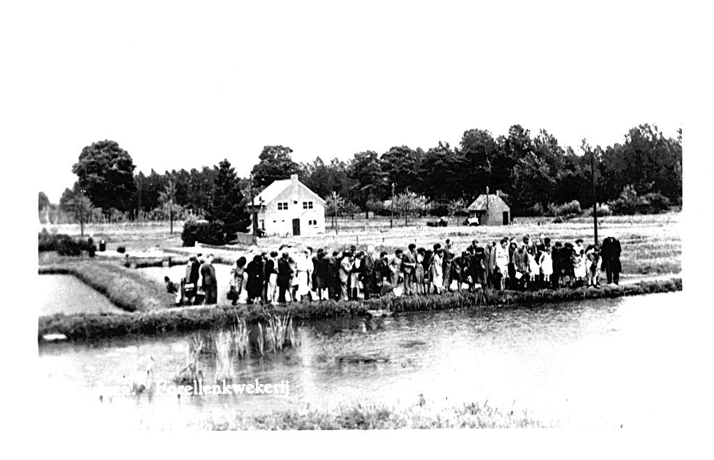969291	Gulpen	Limburg	Forellenkwekerij	1949	Gelopen, Ophalen of Verzenden, 1940 tot 1960, Gelopen, Limburg
