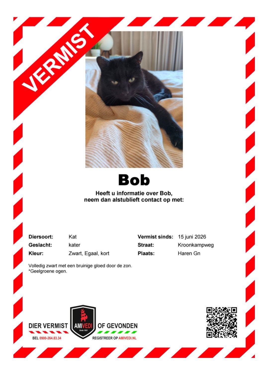 KAT VERMIST: sinds 15 juni, Dieren en Toebehoren, Kat