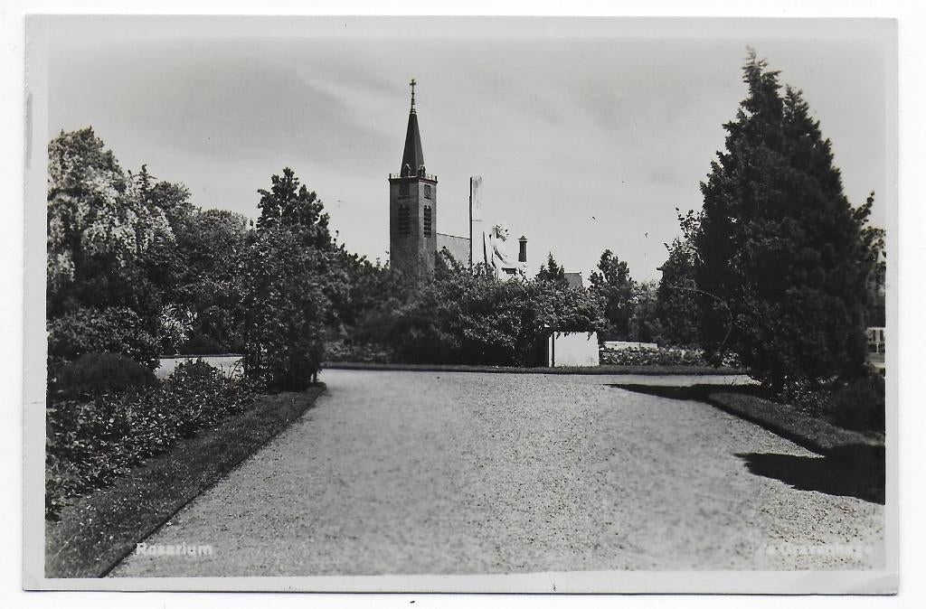 's Gravenhage Rosarium Ongelopen  Ansichtkaart ( B6883 ), Verzenden, 1960 tot 1980, Ongelopen, Zuid-Holland